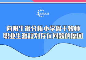 小学骨干教师存在问题的原因