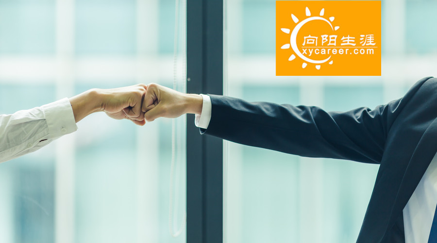 职业规划实操手册——职业信息收集包含什么内容