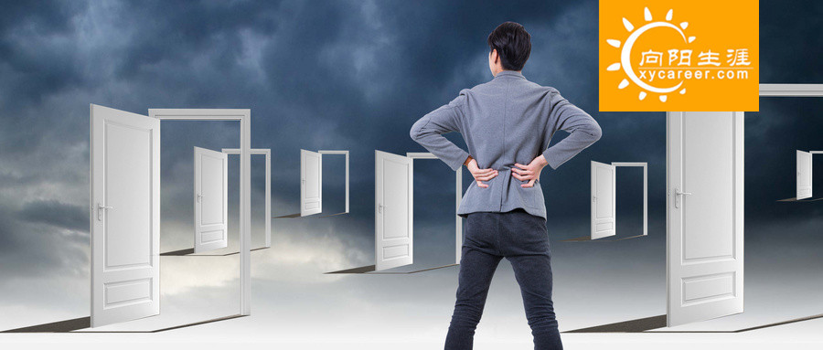 职业规划实操手册——职业生涯成功的八个取向