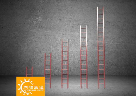 职业规划实操手册——三大系统的整合应用
